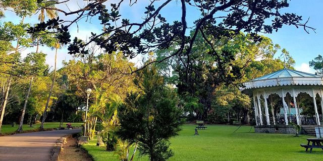 Curepipe Botanical Garden (2)